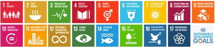The 17 UN Sustainable Development Goals (SDGs) define the goalposts for delivering global sustainable development by 2030. They address a wide range of interrelated problems ranging from poverty to gender inequality to climate change.